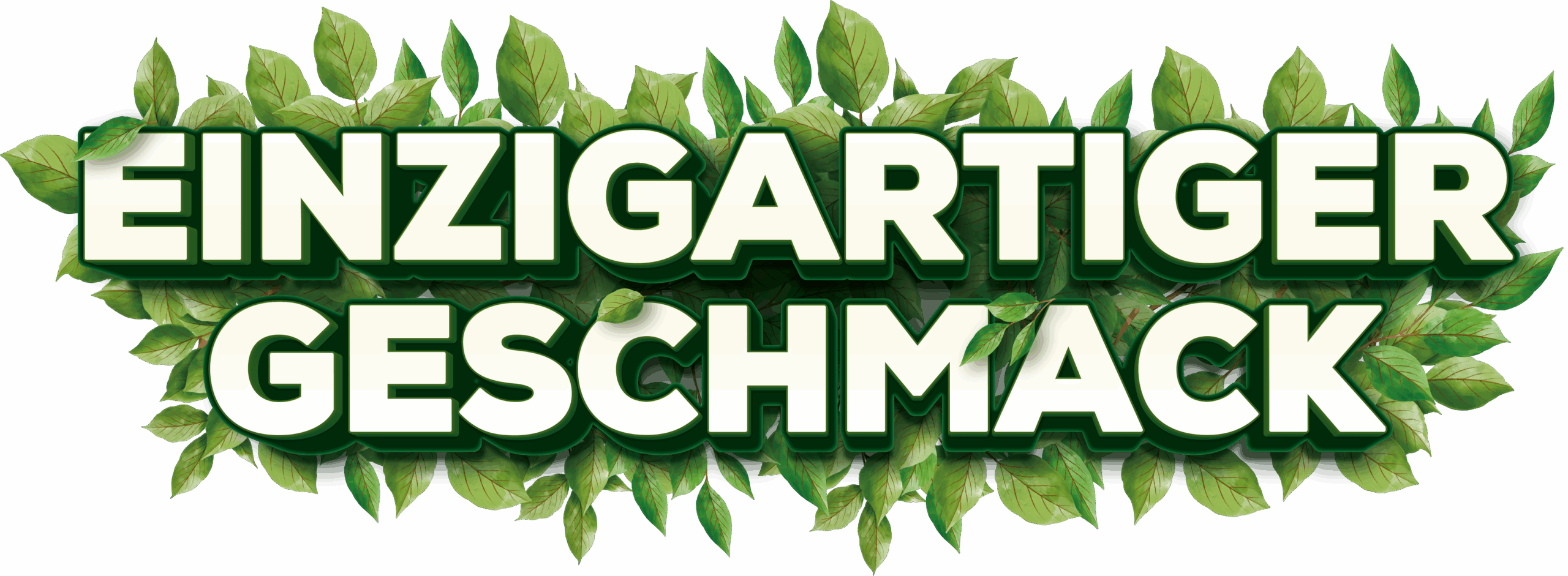 Willkommen 1 Gout Unique DE scaled | Hünkar